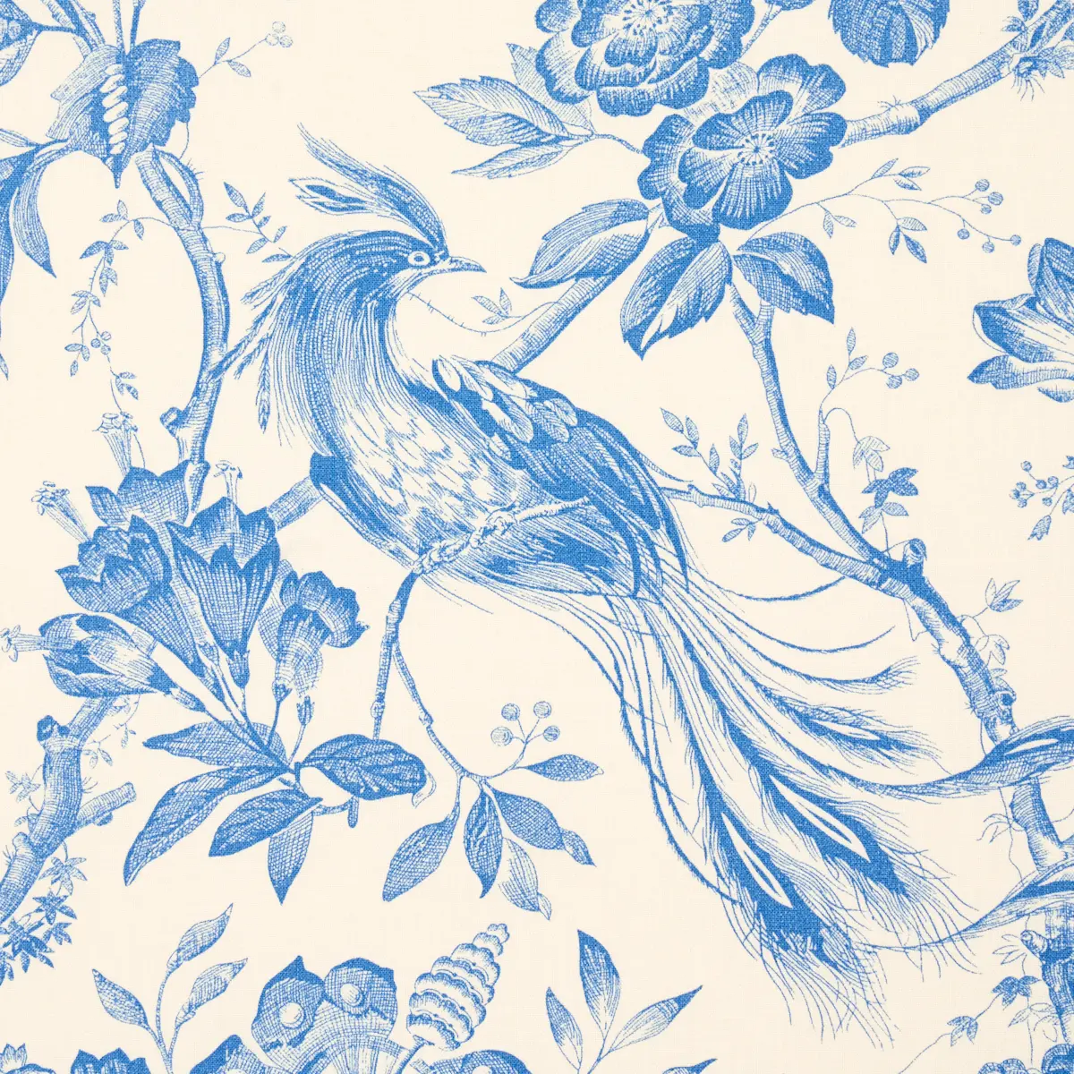 BIRDS OF PARADISE_ BLUE