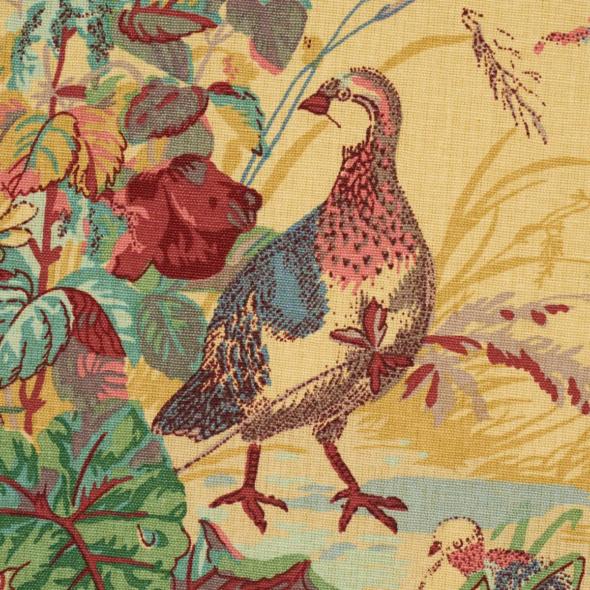QUAIL MEADOW_ SPRING