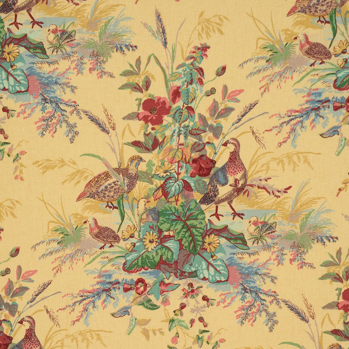 QUAIL MEADOW_ SPRING