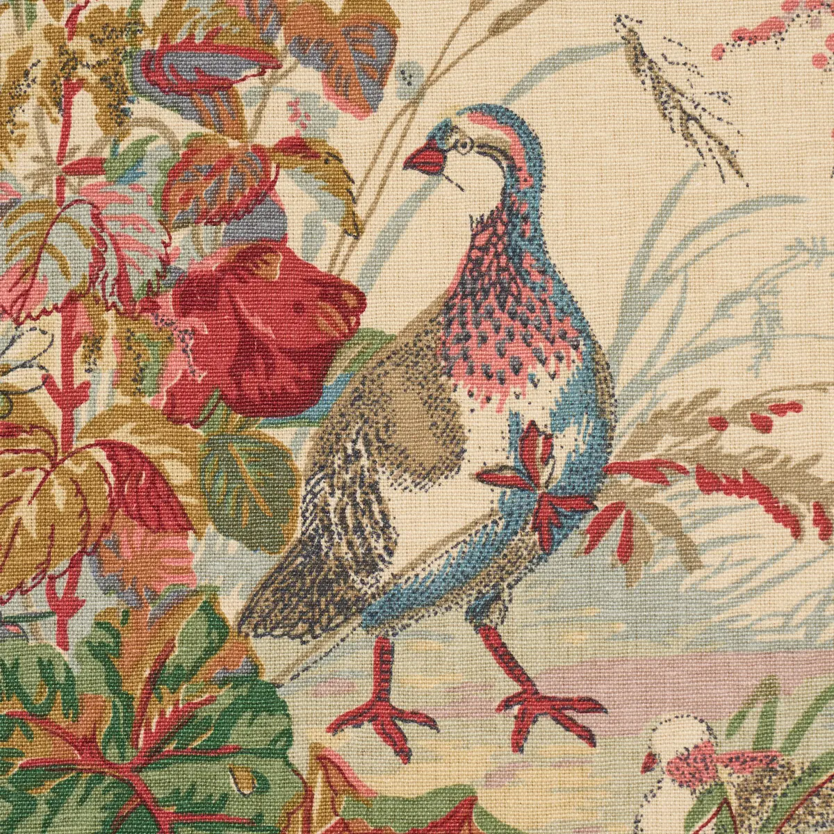 QUAIL MEADOW_ SUMMER