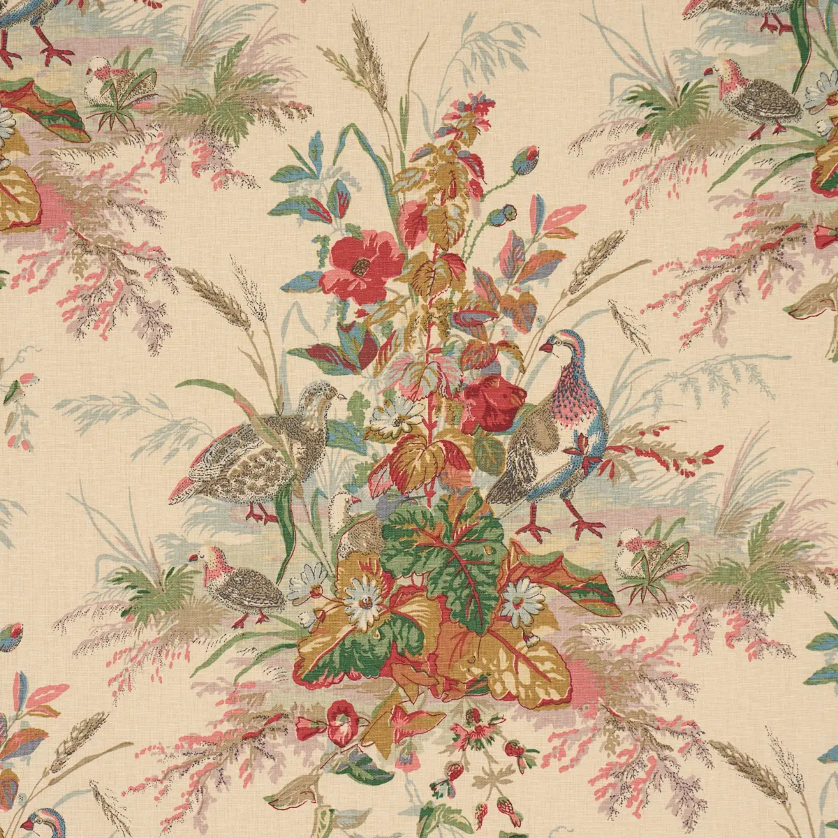 QUAIL MEADOW_ SUMMER
