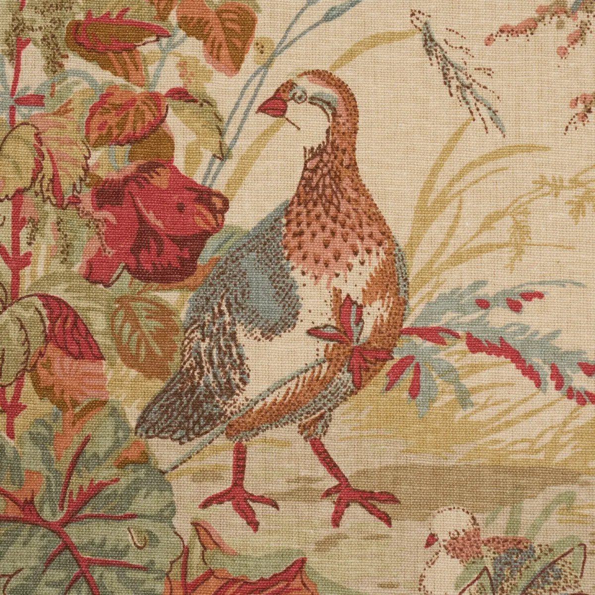 QUAIL MEADOW_ AUTUMN
