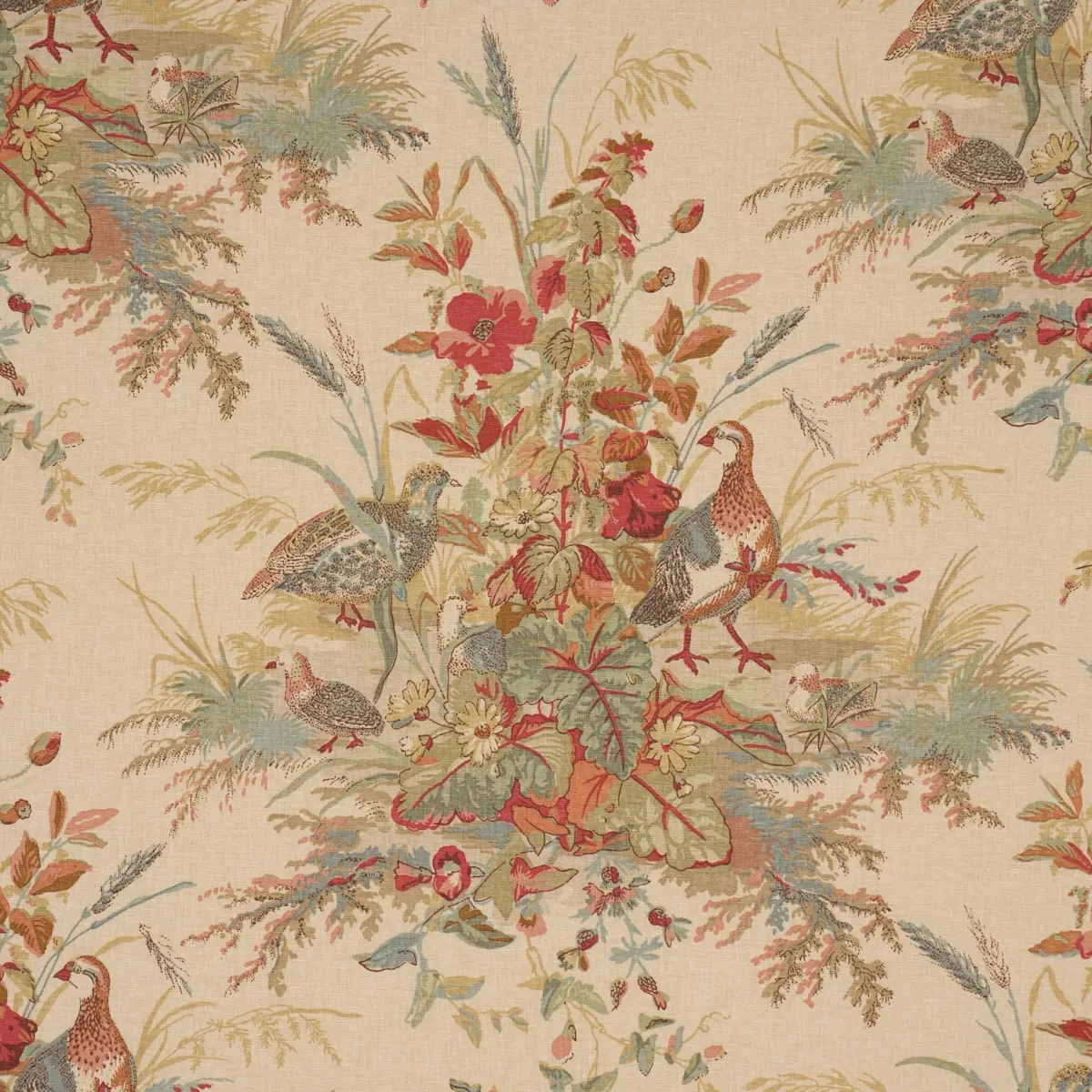 QUAIL MEADOW_ AUTUMN