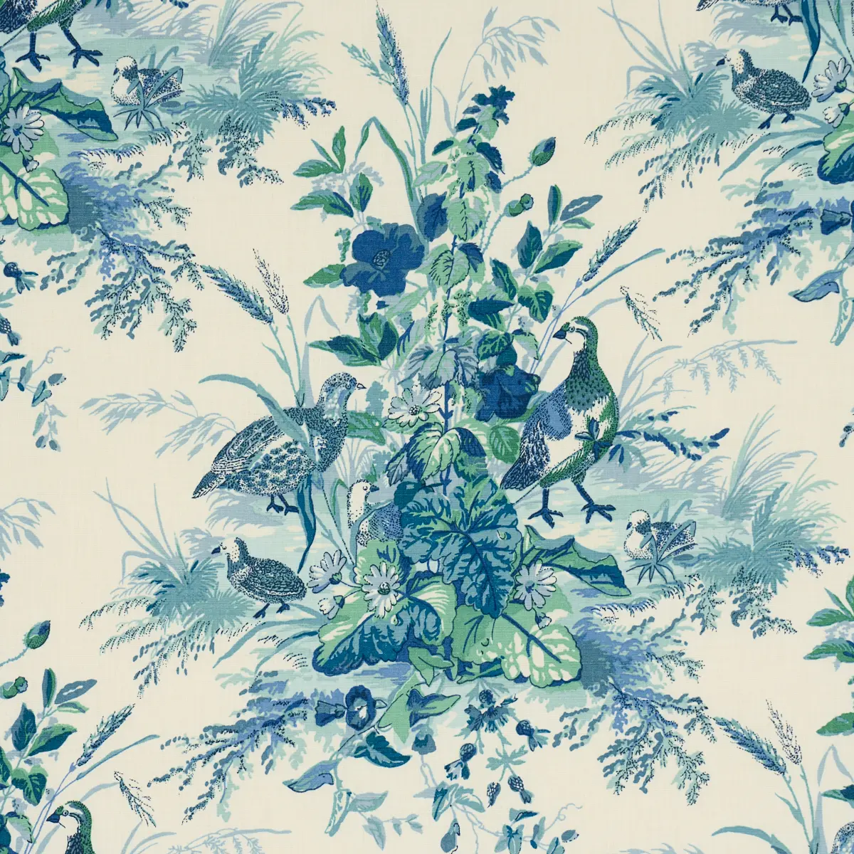 QUAIL MEADOW_ PEACOCK