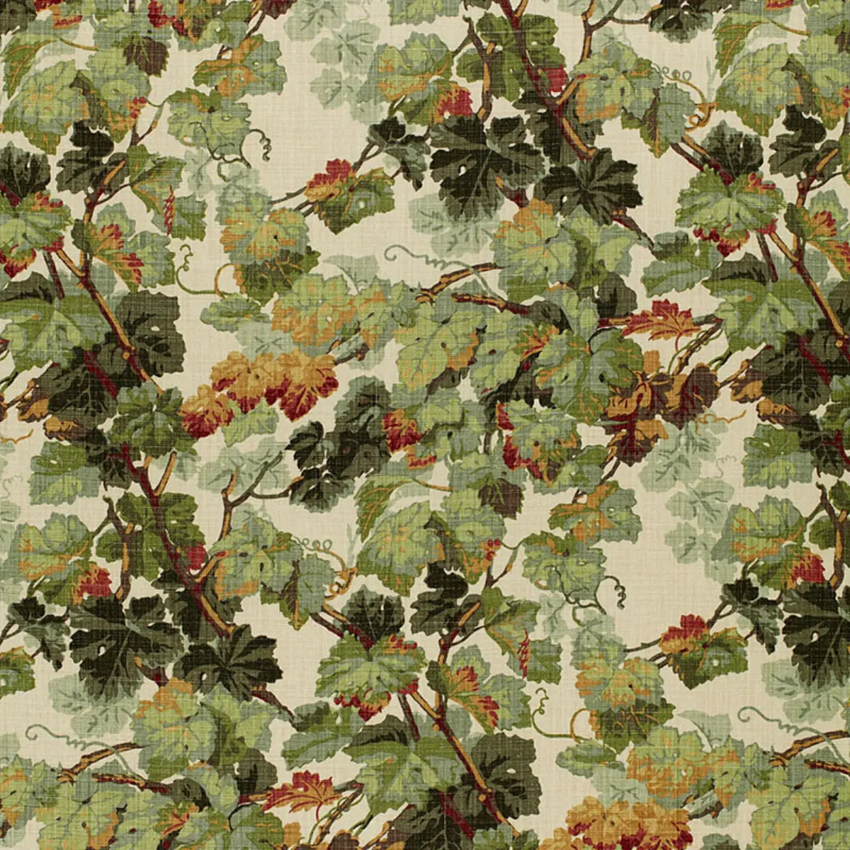 ARBOR VINE_ DOCUMENT