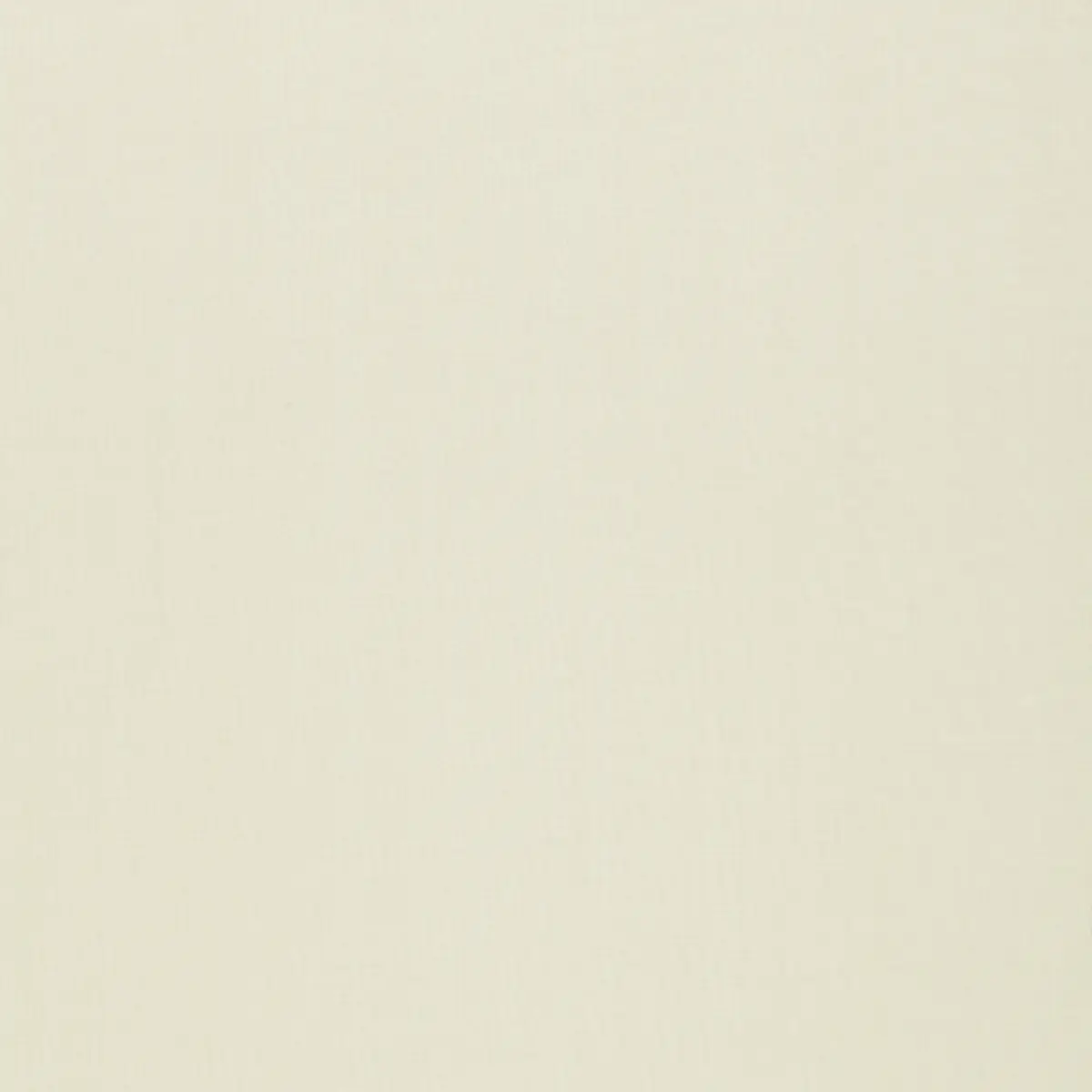 AILEY SHEER_ CREAM