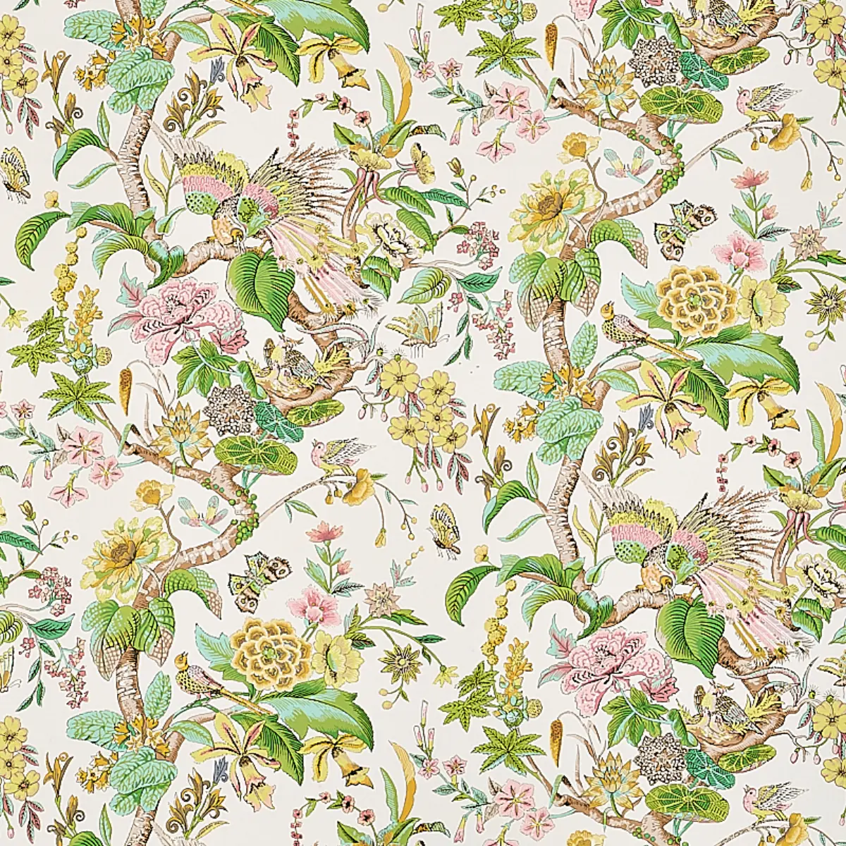 CRANLEY GARDEN_ PINK