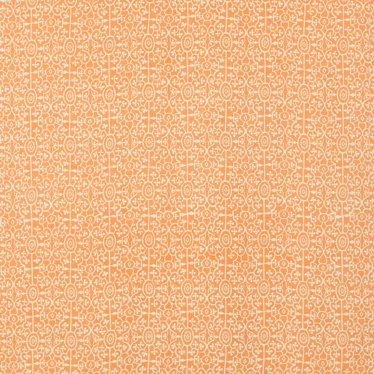 Patra_ PERSIMMON