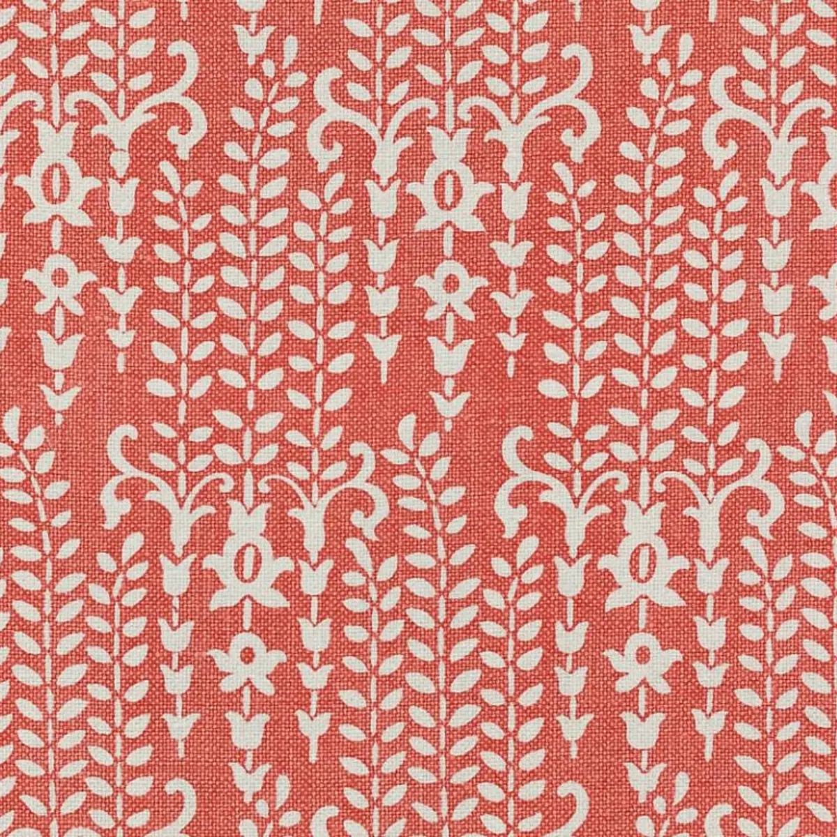 Gilberte_ CORAL