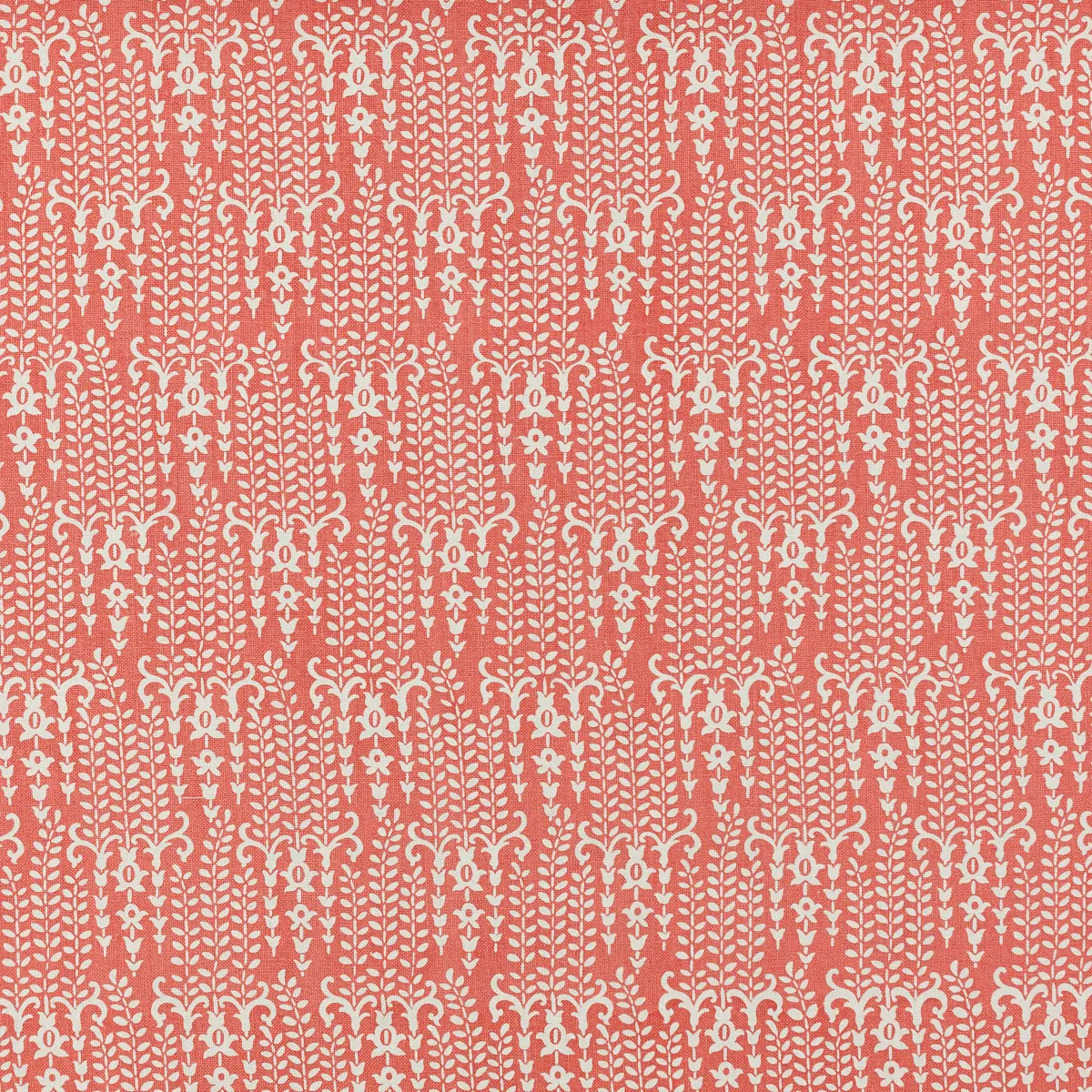 Gilberte_ CORAL