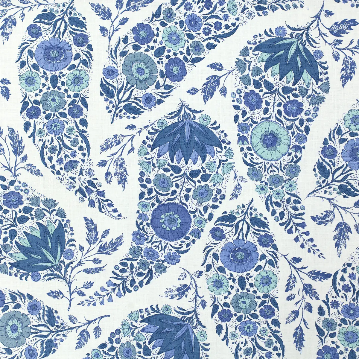 Kashmir_ DELFT