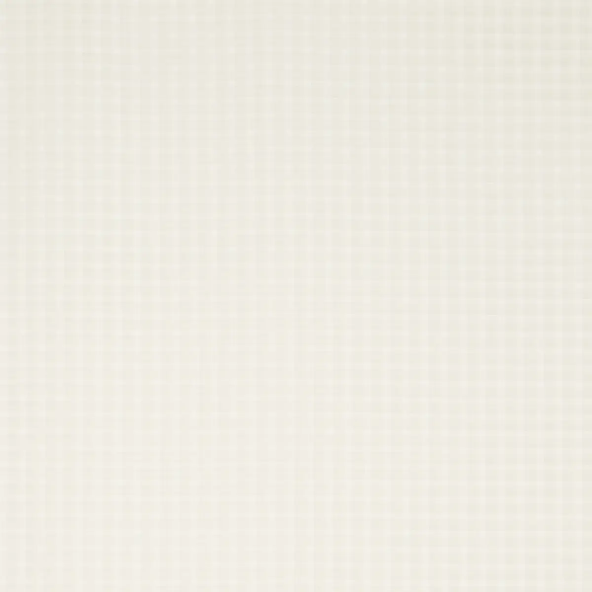 BOREALIS CHECK SHEER_ CHAMPAGNE