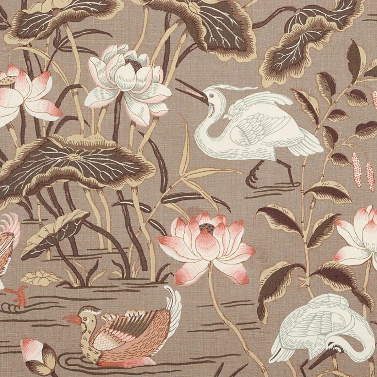LOTUS GARDEN_ MOCHA