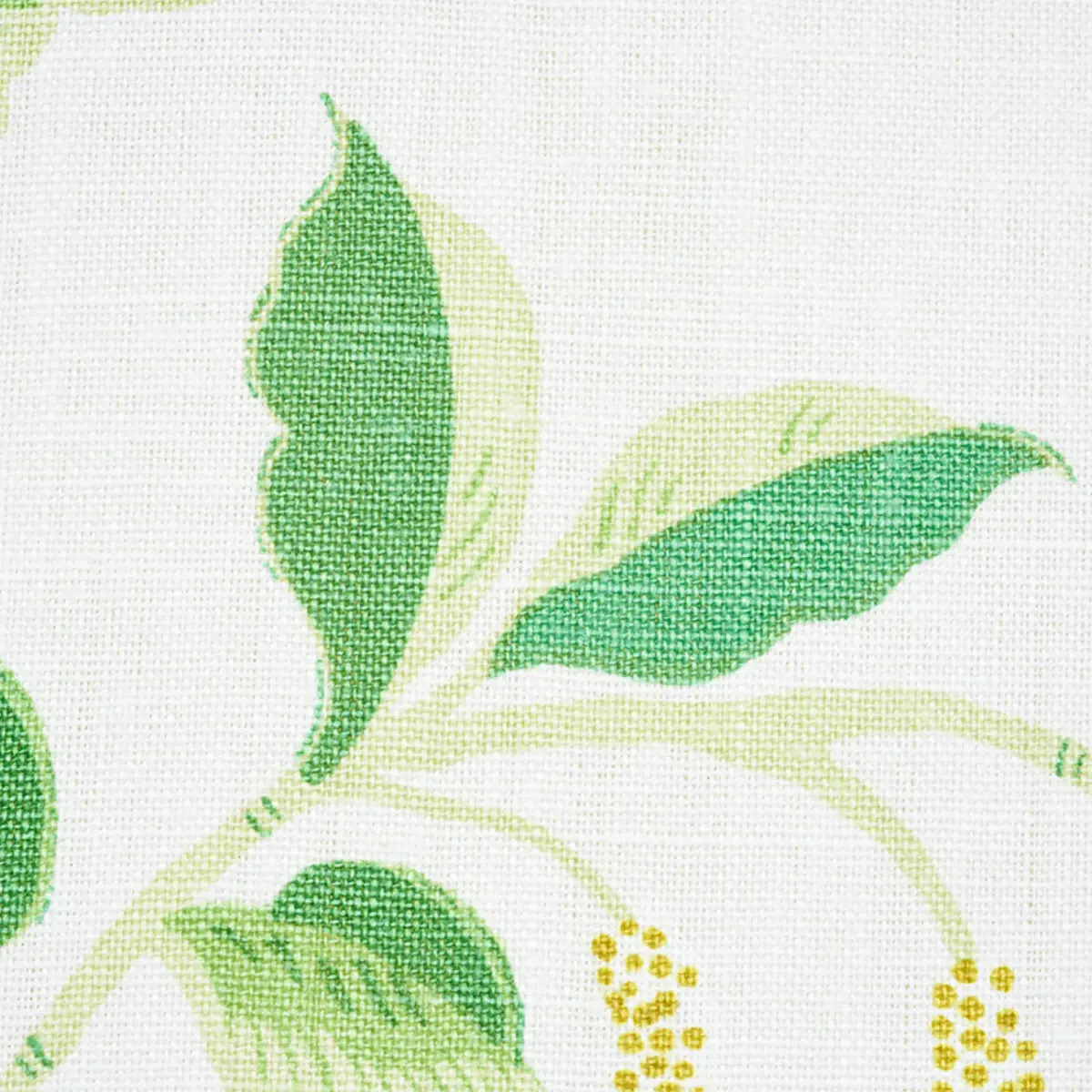 LOTUS GARDEN_ LEAF