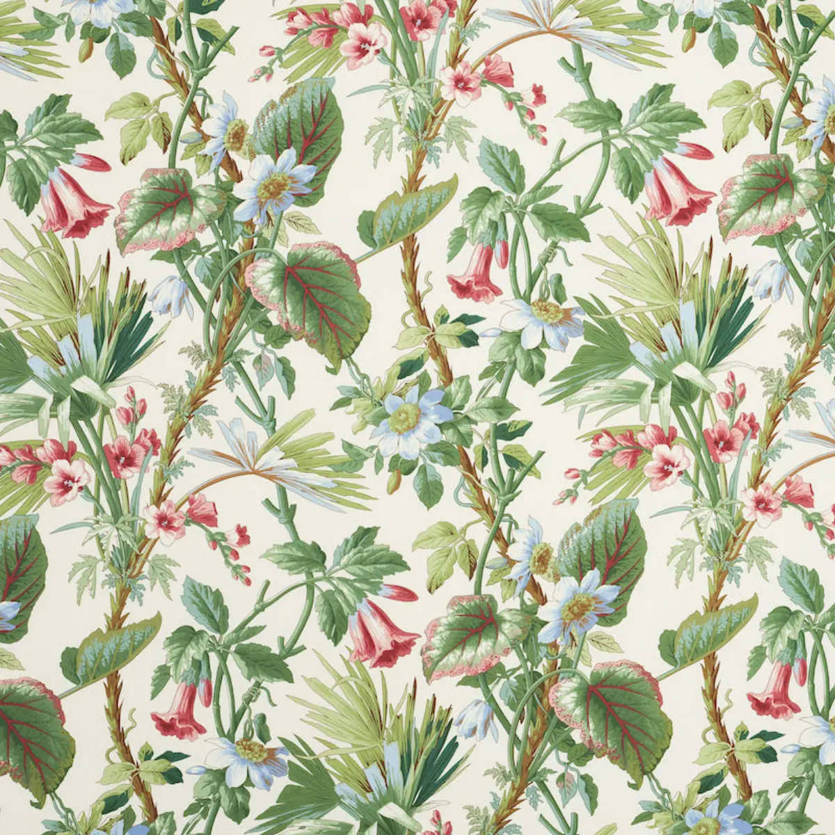 PALMETTO GARDEN_ TROPIC