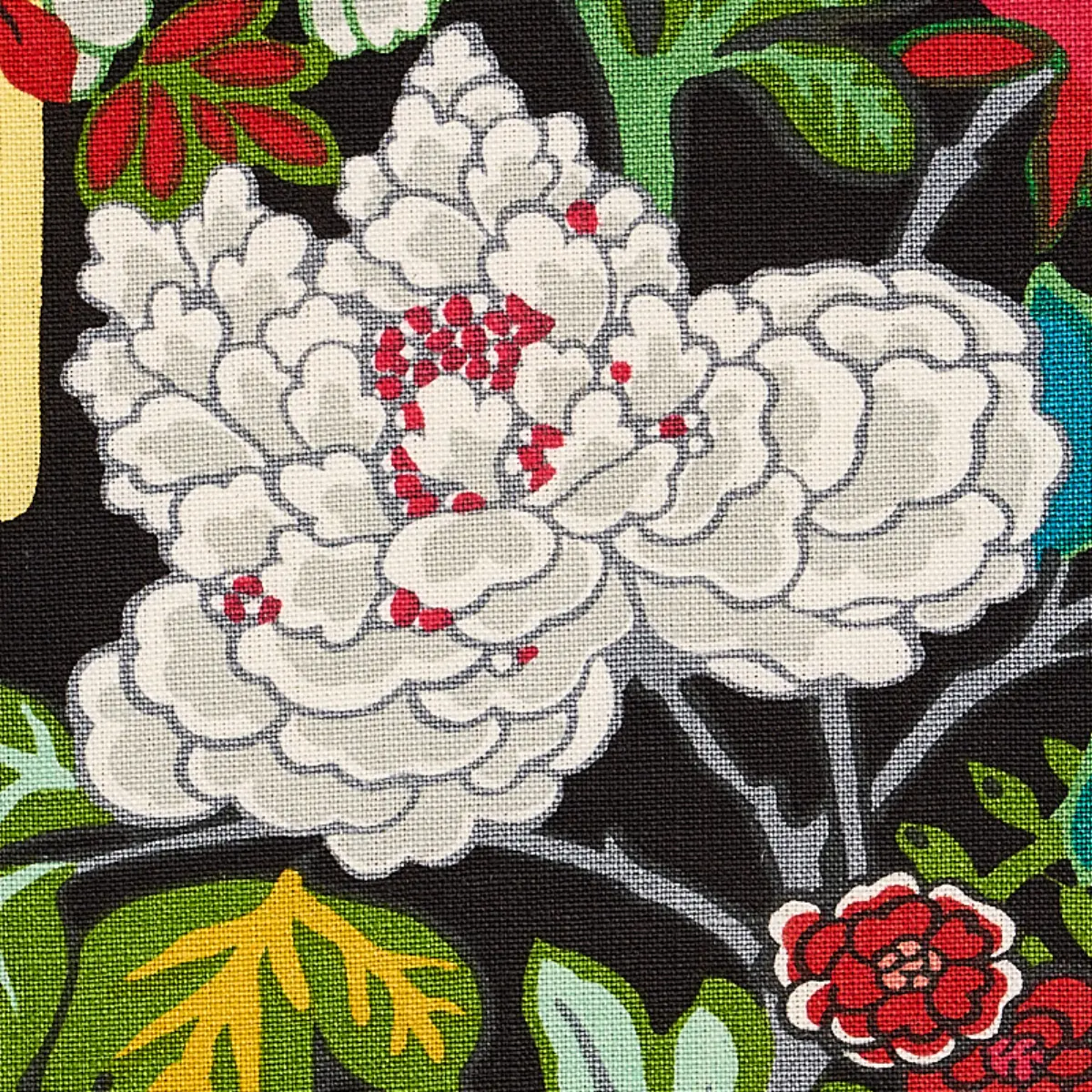 CHIANG MAI DRAGON_ EBONY