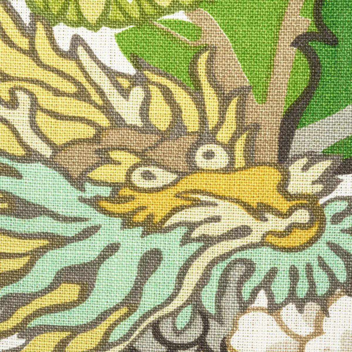CHIANG MAI DRAGON_ CITRUS
