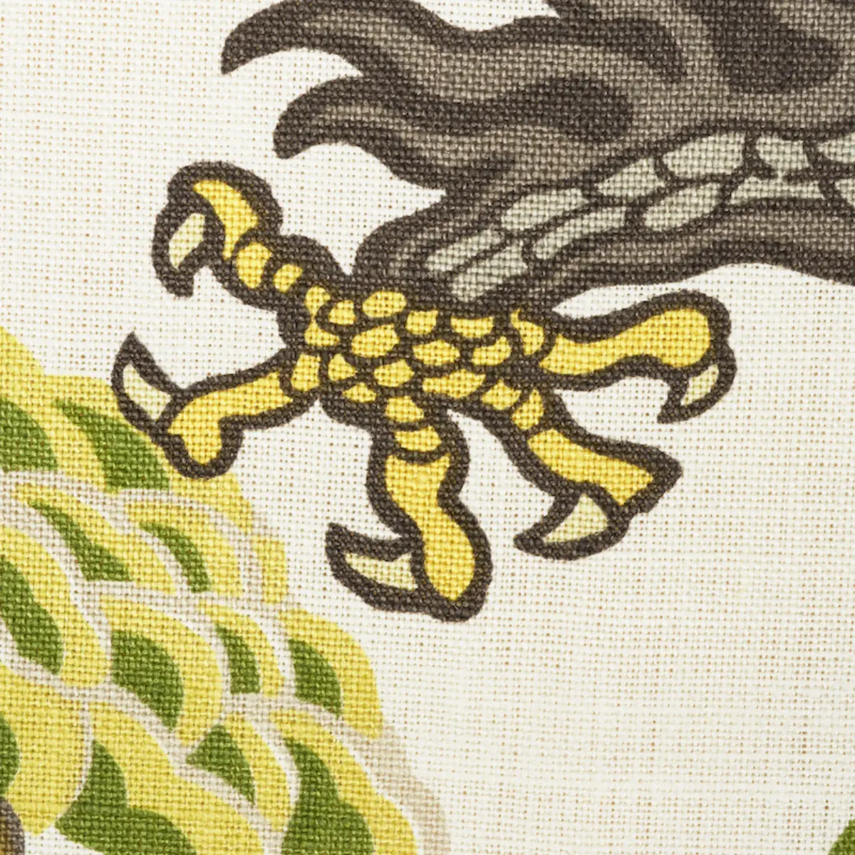 CHIANG MAI DRAGON_ CITRUS