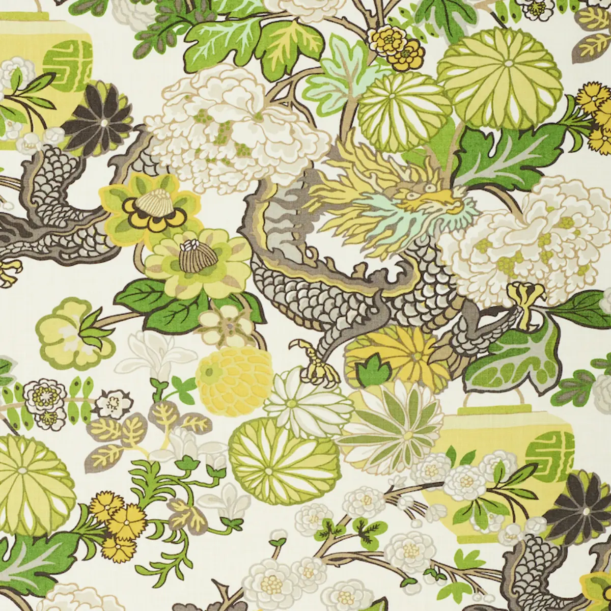 CHIANG MAI DRAGON_ CITRUS