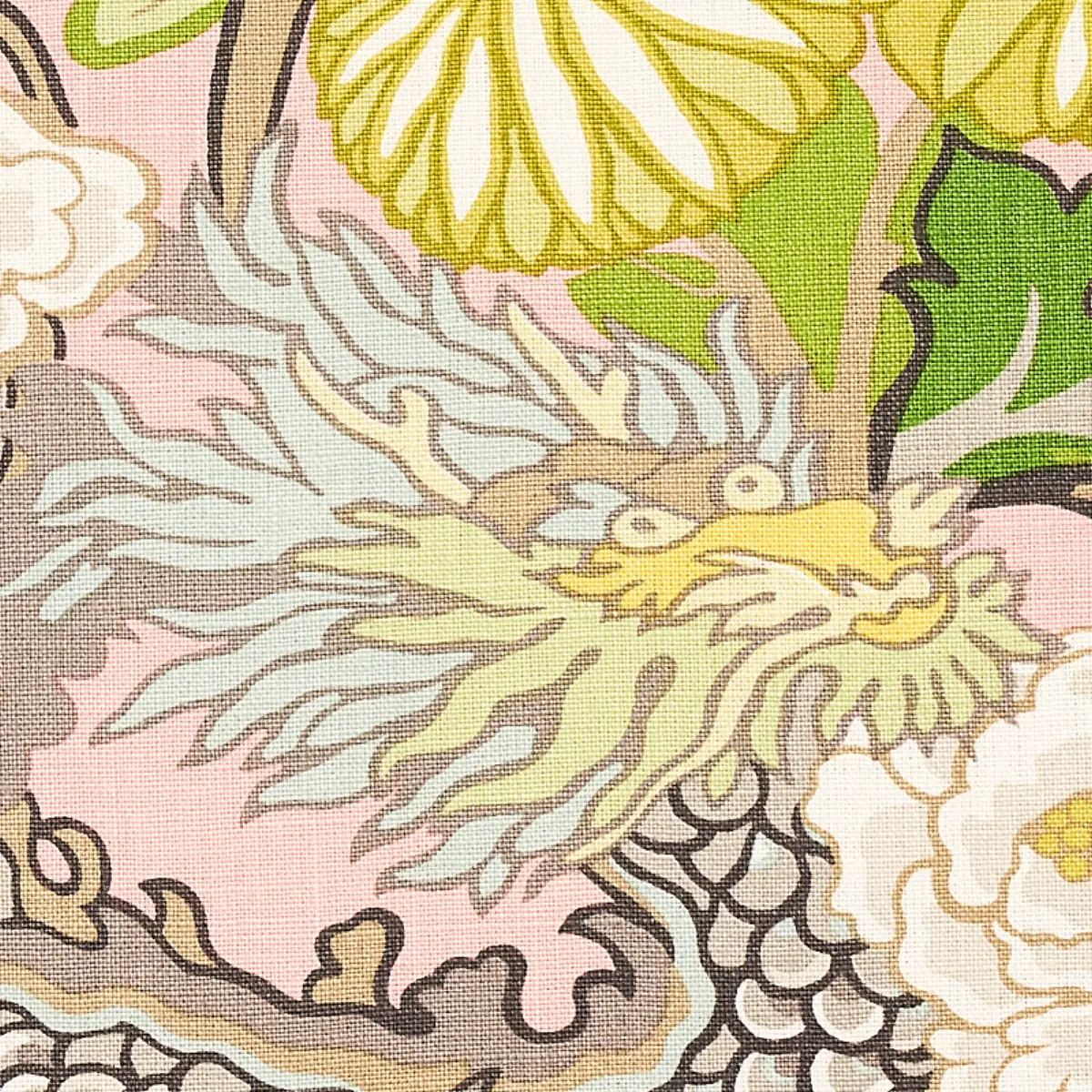 CHIANG MAI DRAGON_ BLUSH