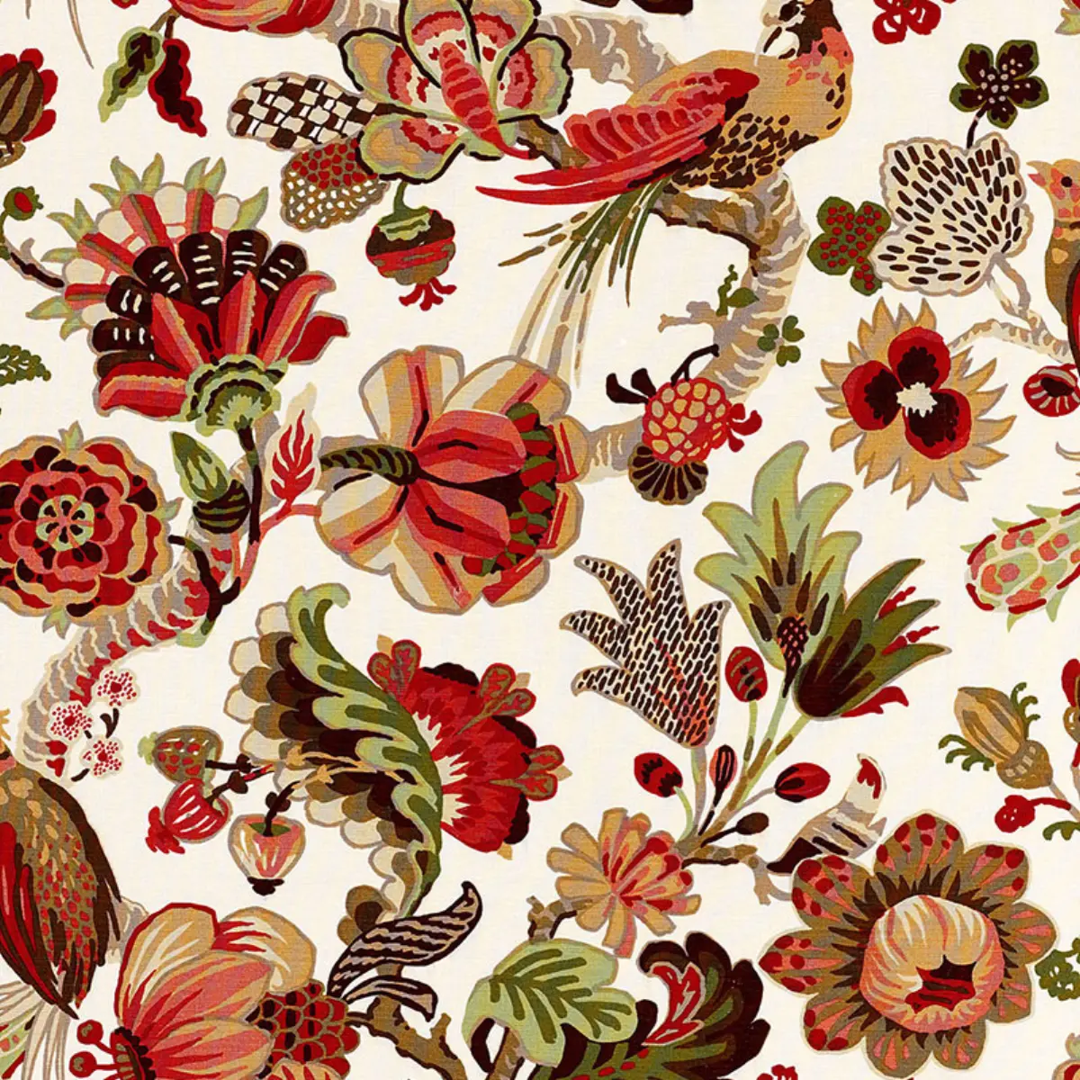CAMBOURNE_ CORAL