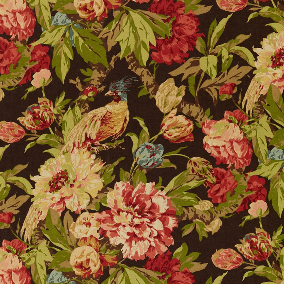 ASHBOURNE PEONY_ CHESTNUT