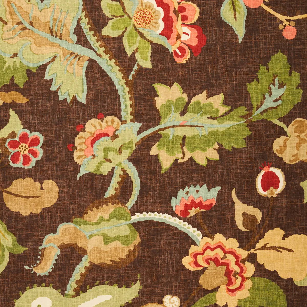 KHANTAU TREE_ MAHOGANY