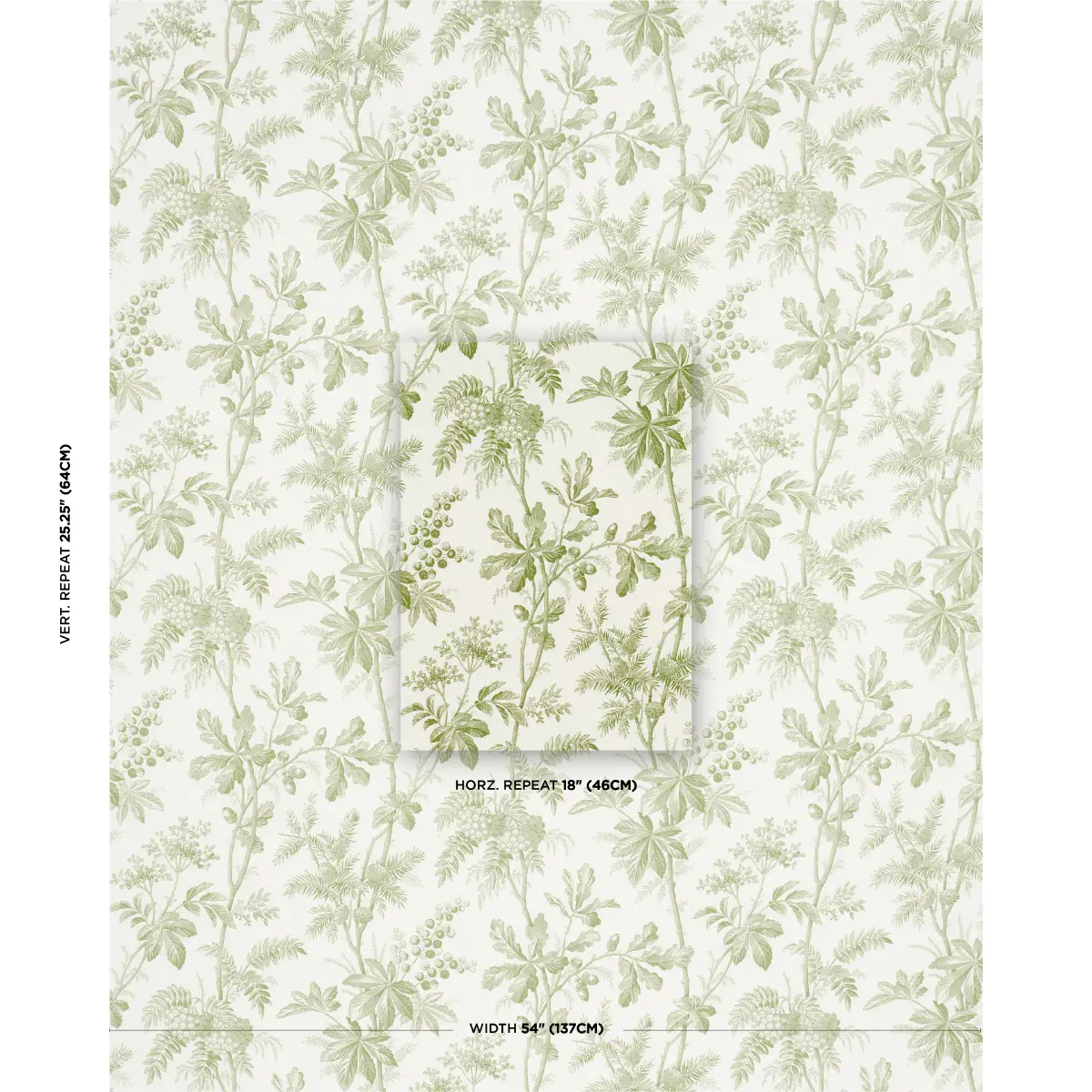 BRANTWOOD VINE_ LEAF