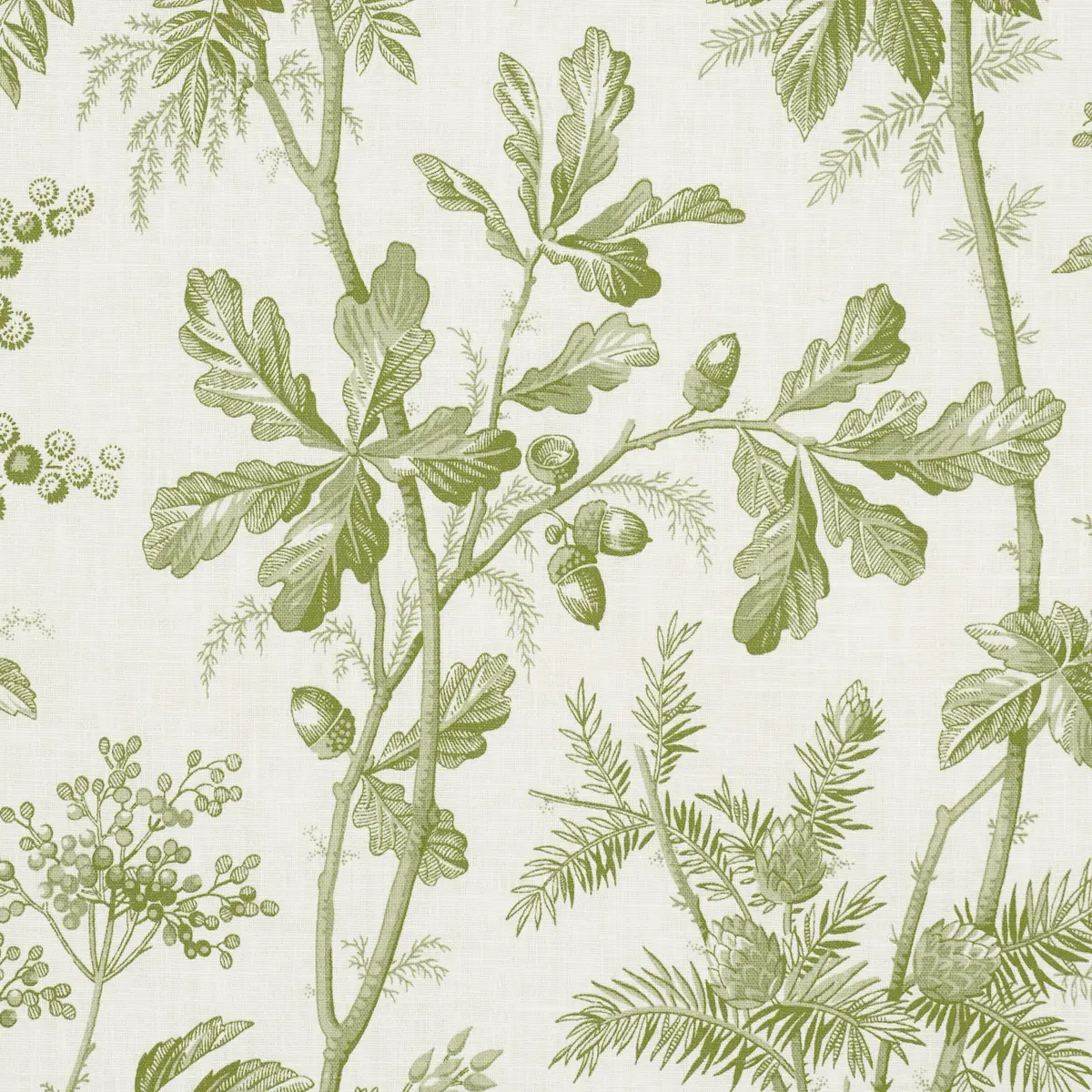 BRANTWOOD VINE_ LEAF