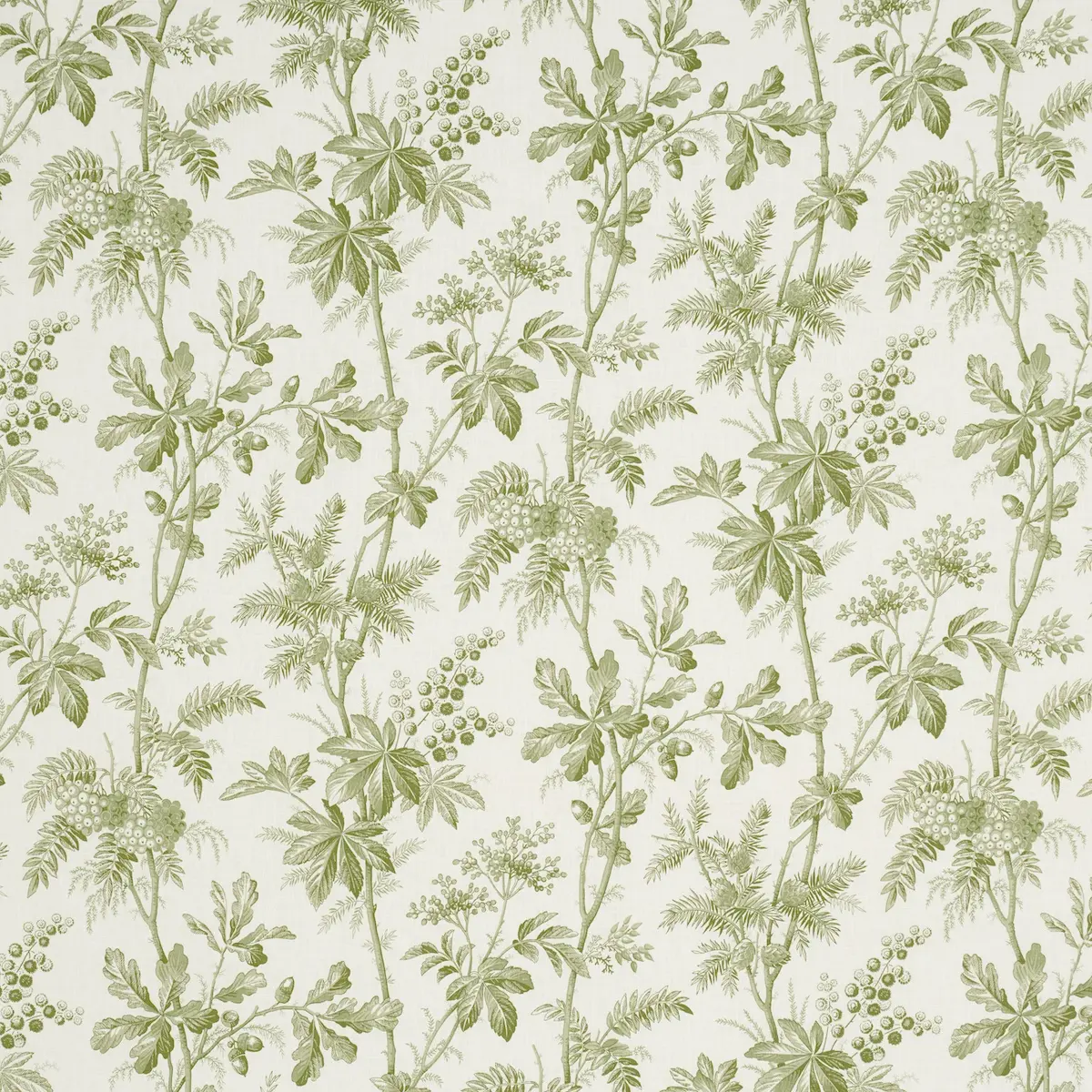 BRANTWOOD VINE_ LEAF