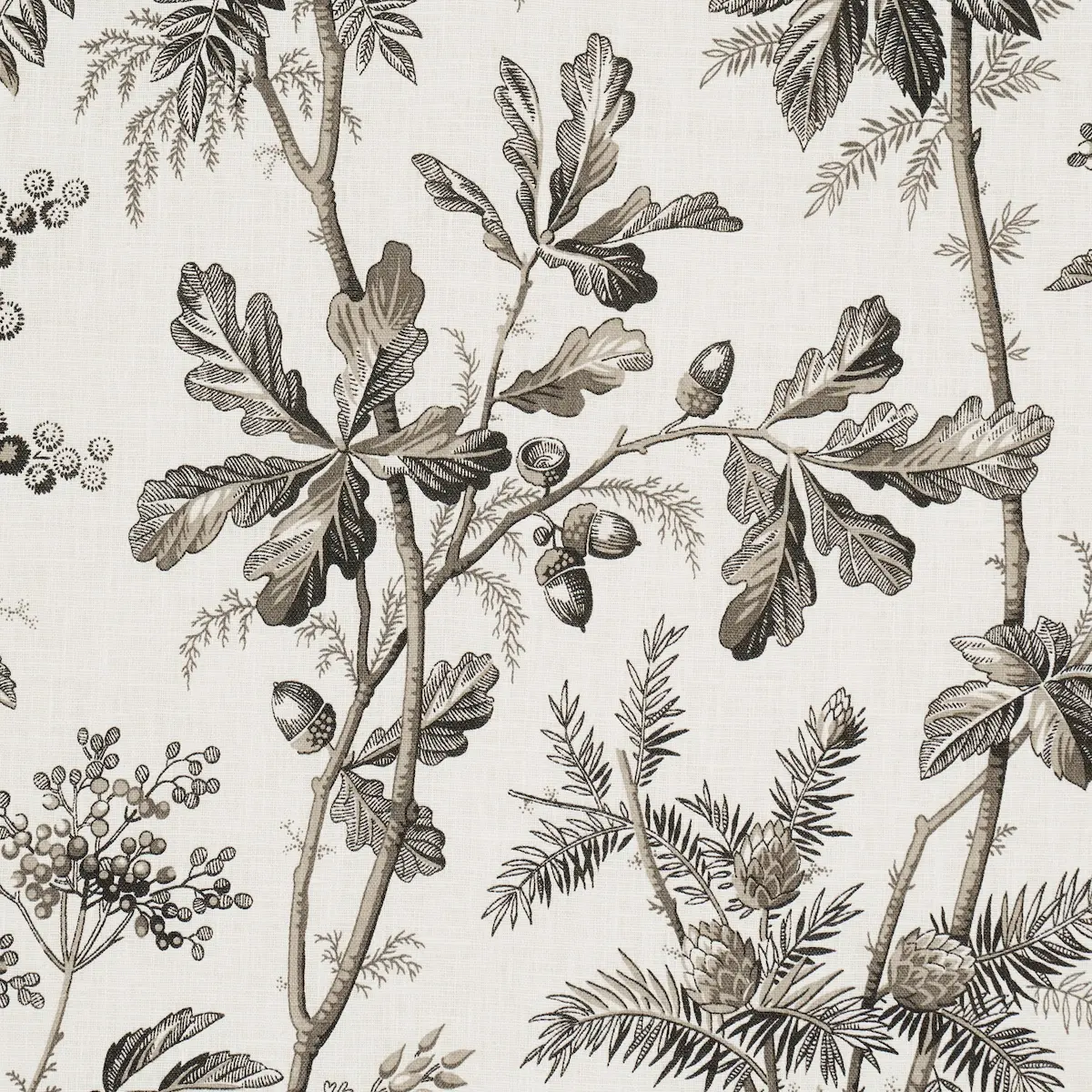 BRANTWOOD VINE_ GRAPHITE