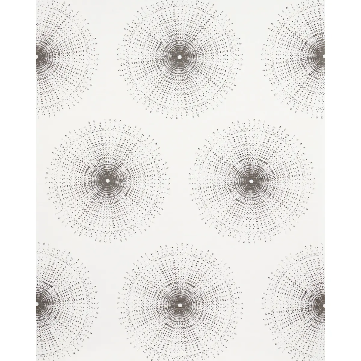 SUNDIAL_ CHARCOAL