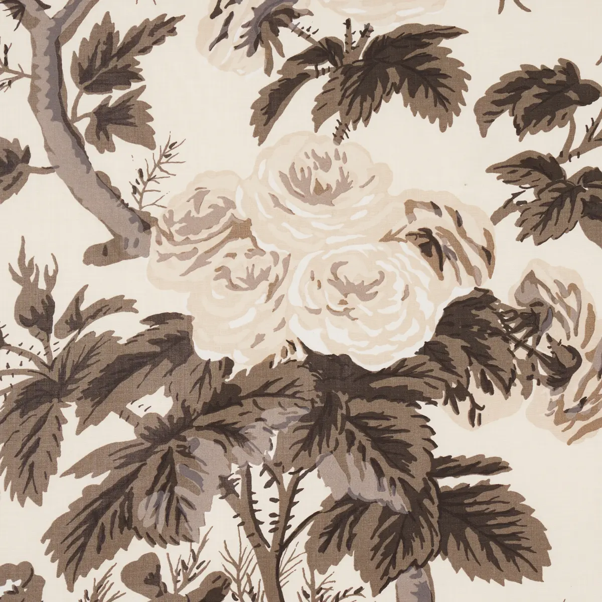 PYNE HOLLYHOCK_ CHARCOAL