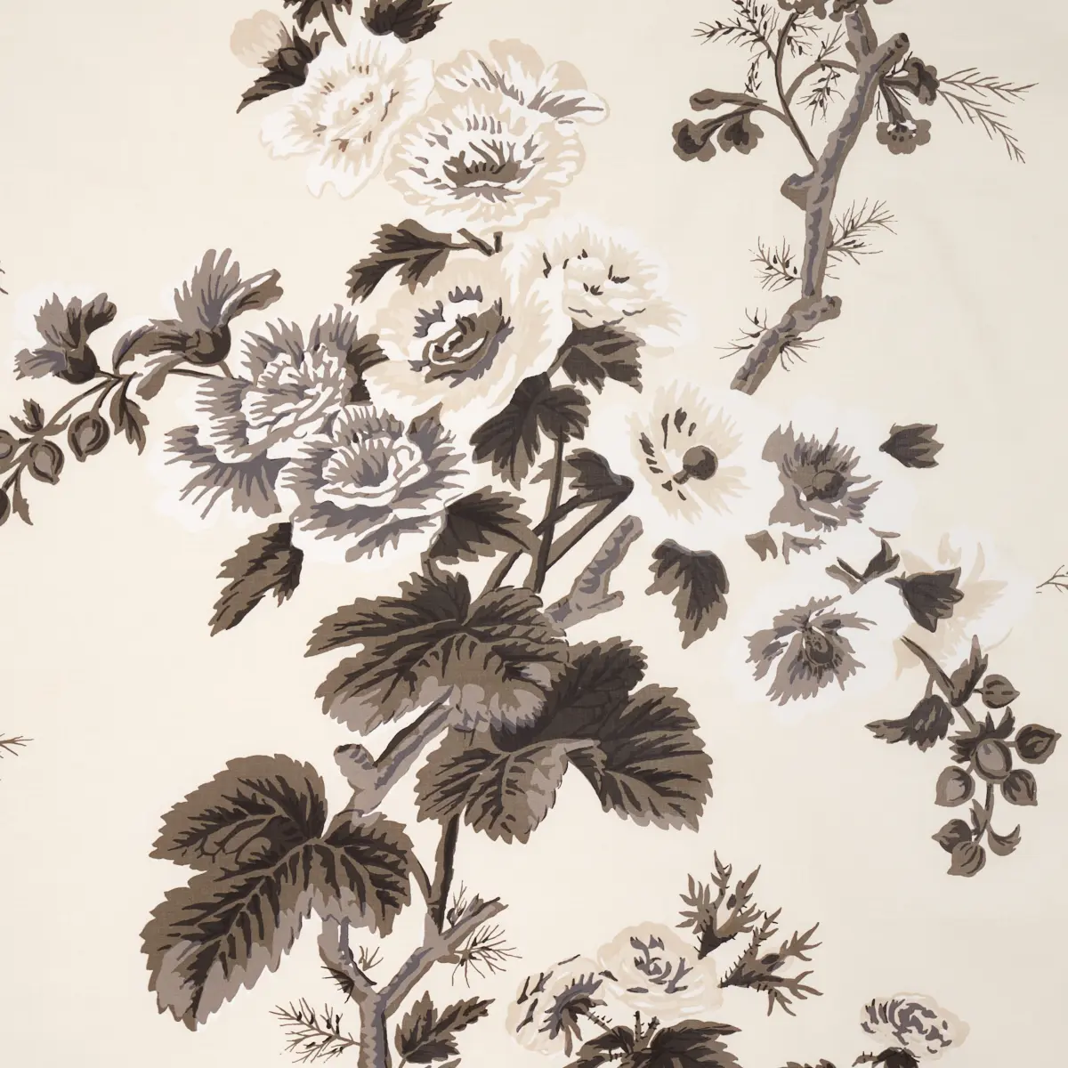 PYNE HOLLYHOCK_ CHARCOAL