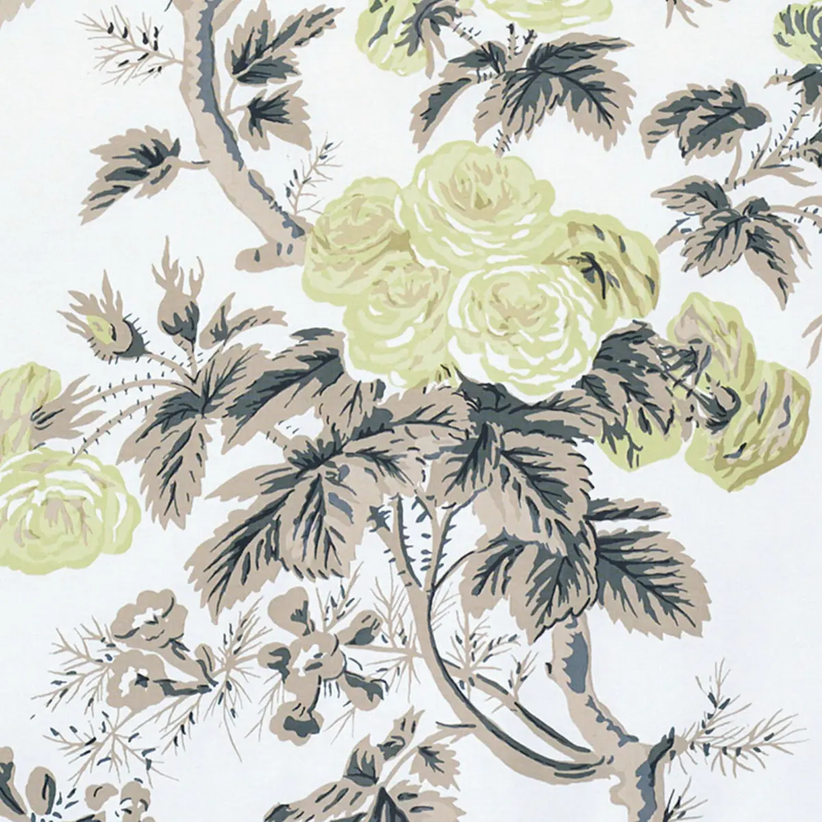 PYNE HOLLYHOCK_ GREEN TEA