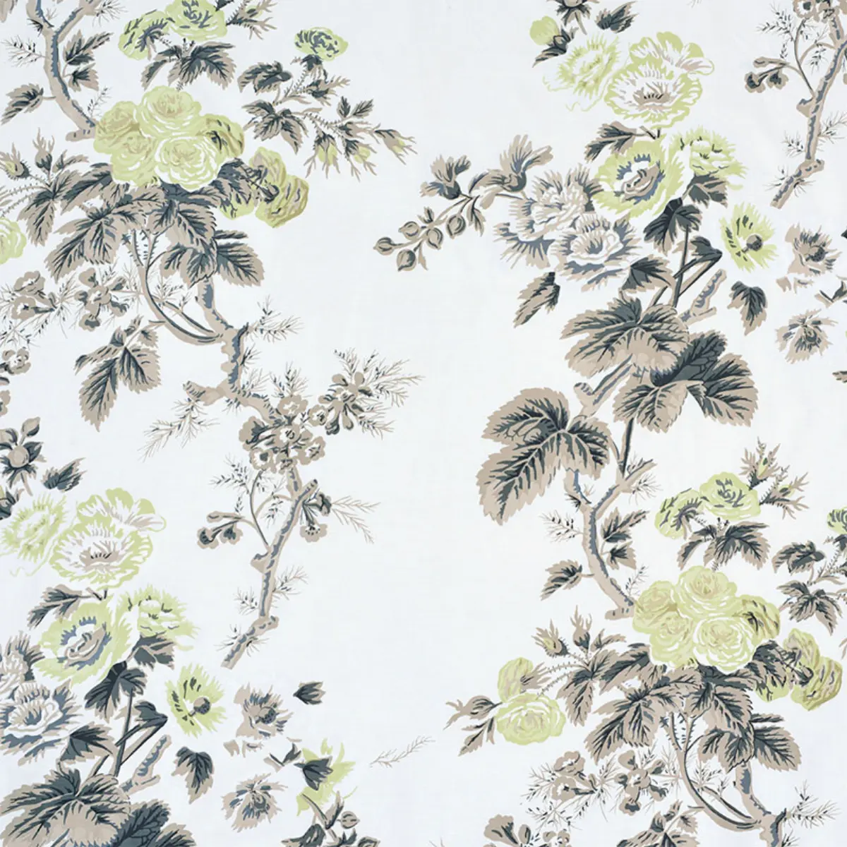 PYNE HOLLYHOCK_ GREEN TEA