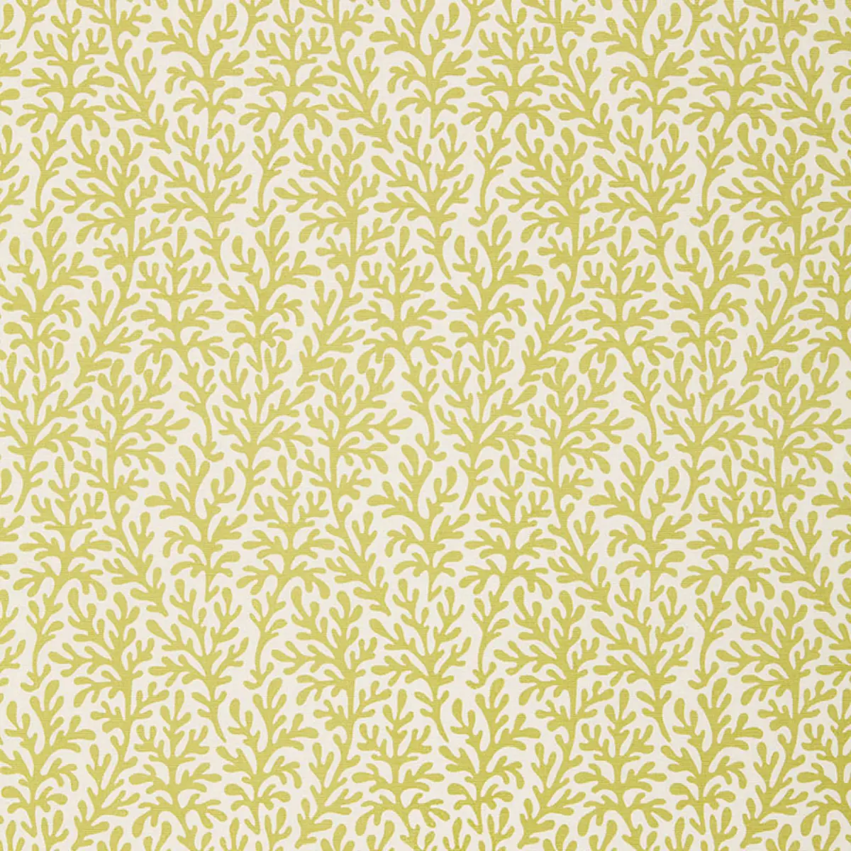 SEA CORAL_ CHARTREUSE