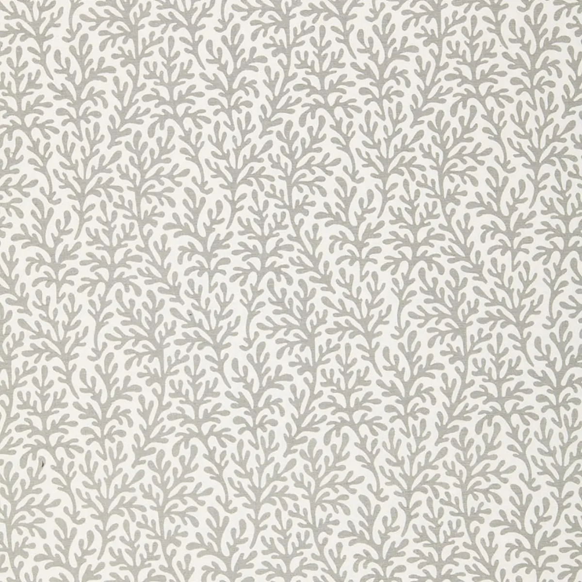 SEA CORAL_ SMOKE