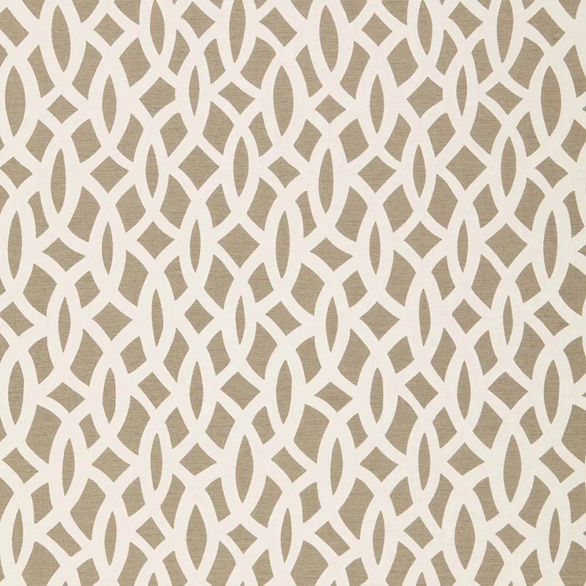 CHAIN LINK_ FLAX