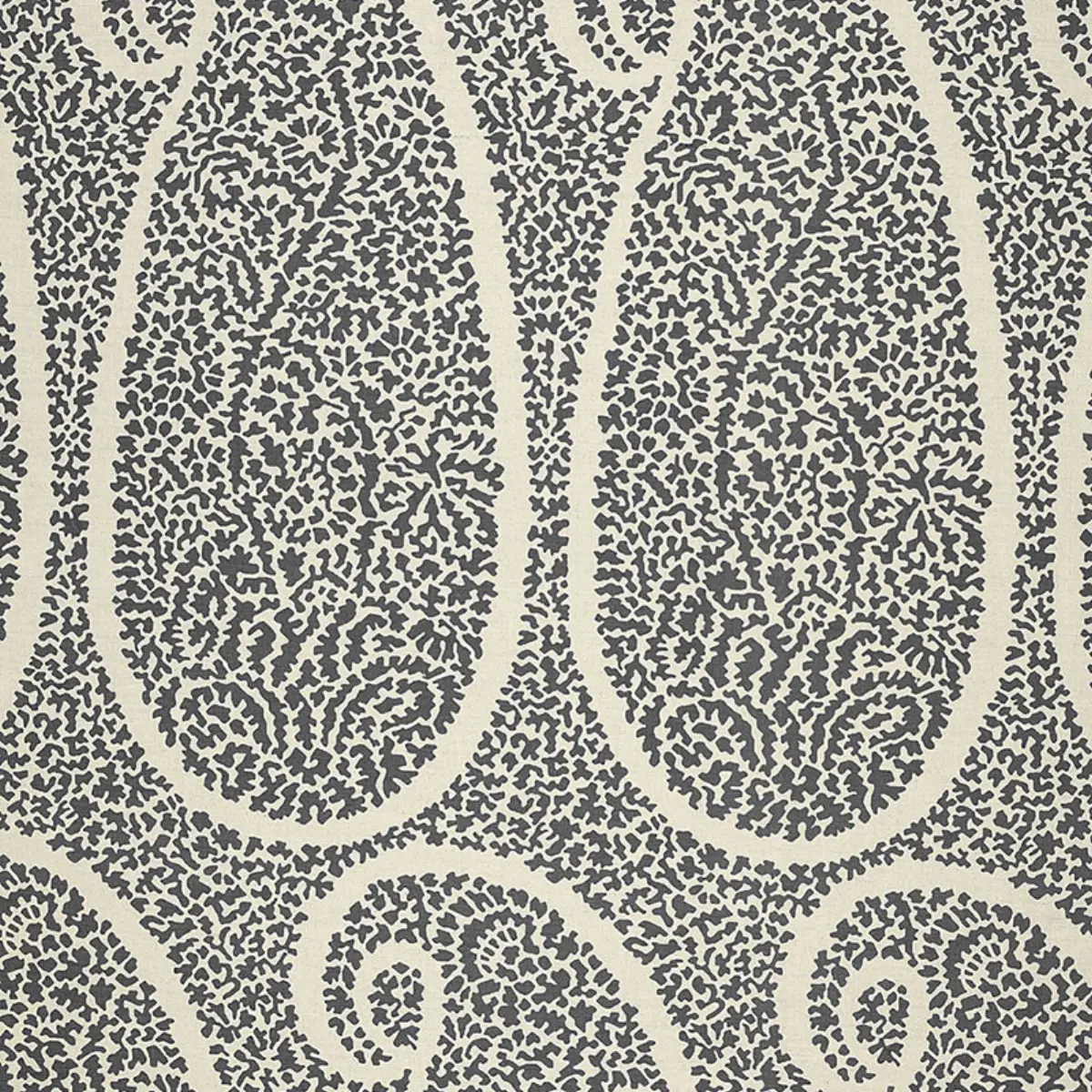 AMBALA PAISLEY_ ASH