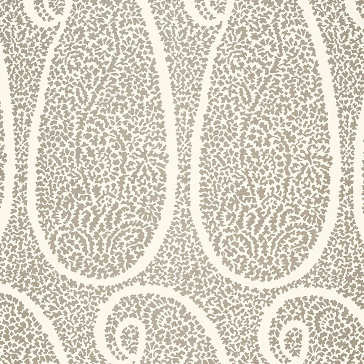AMBALA PAISLEY_ OYSTER