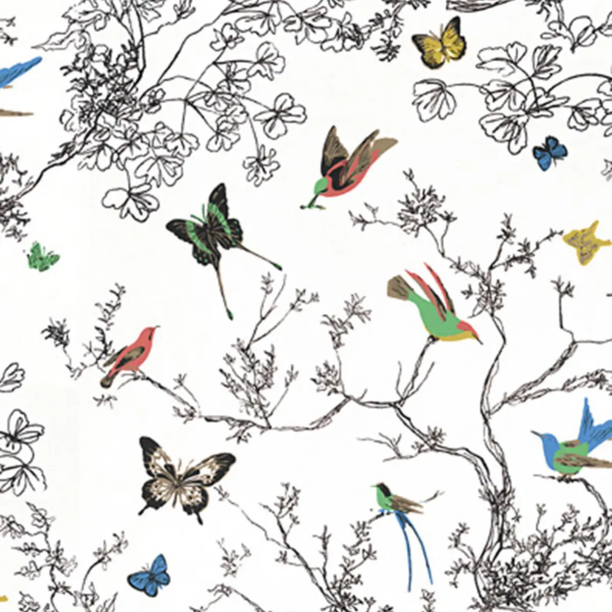 BIRDS & BUTTERFLIES_ MULTI ON WHITE