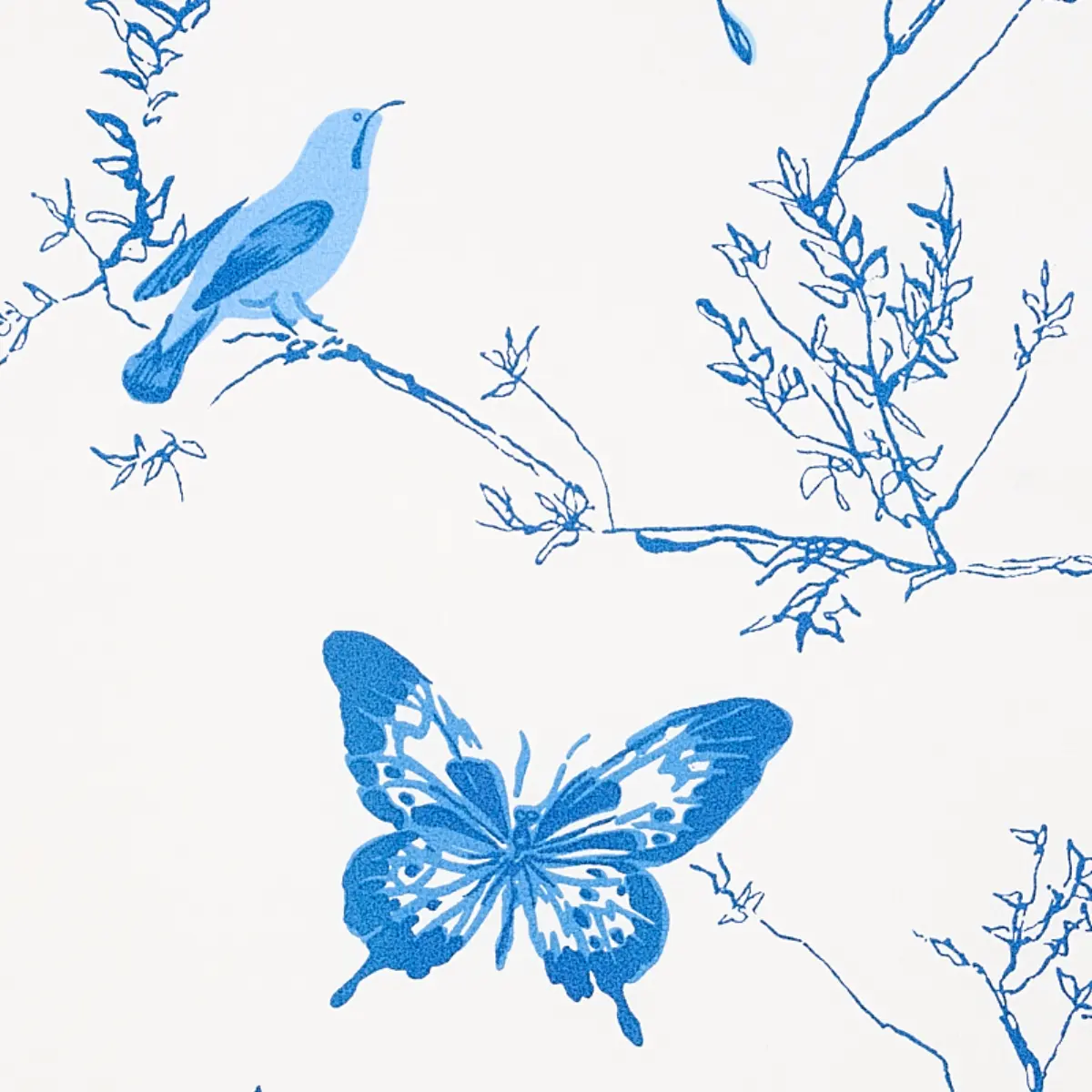 BIRDS & BUTTERFLIES_ PORCELAIN