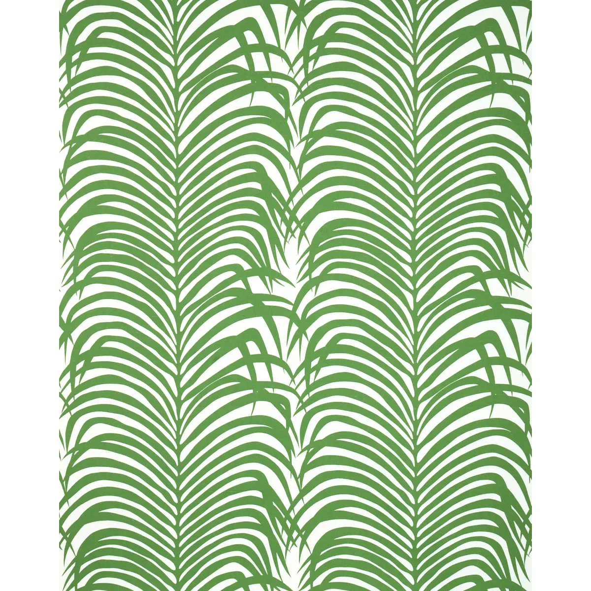 ZEBRA PALM_ JUNGLE