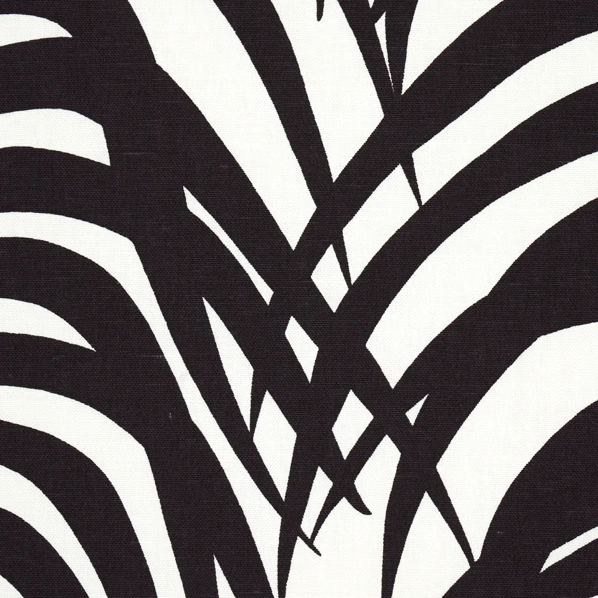 ZEBRA PALM_ EBONY