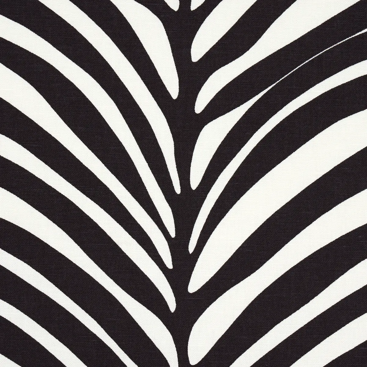 ZEBRA PALM_ EBONY