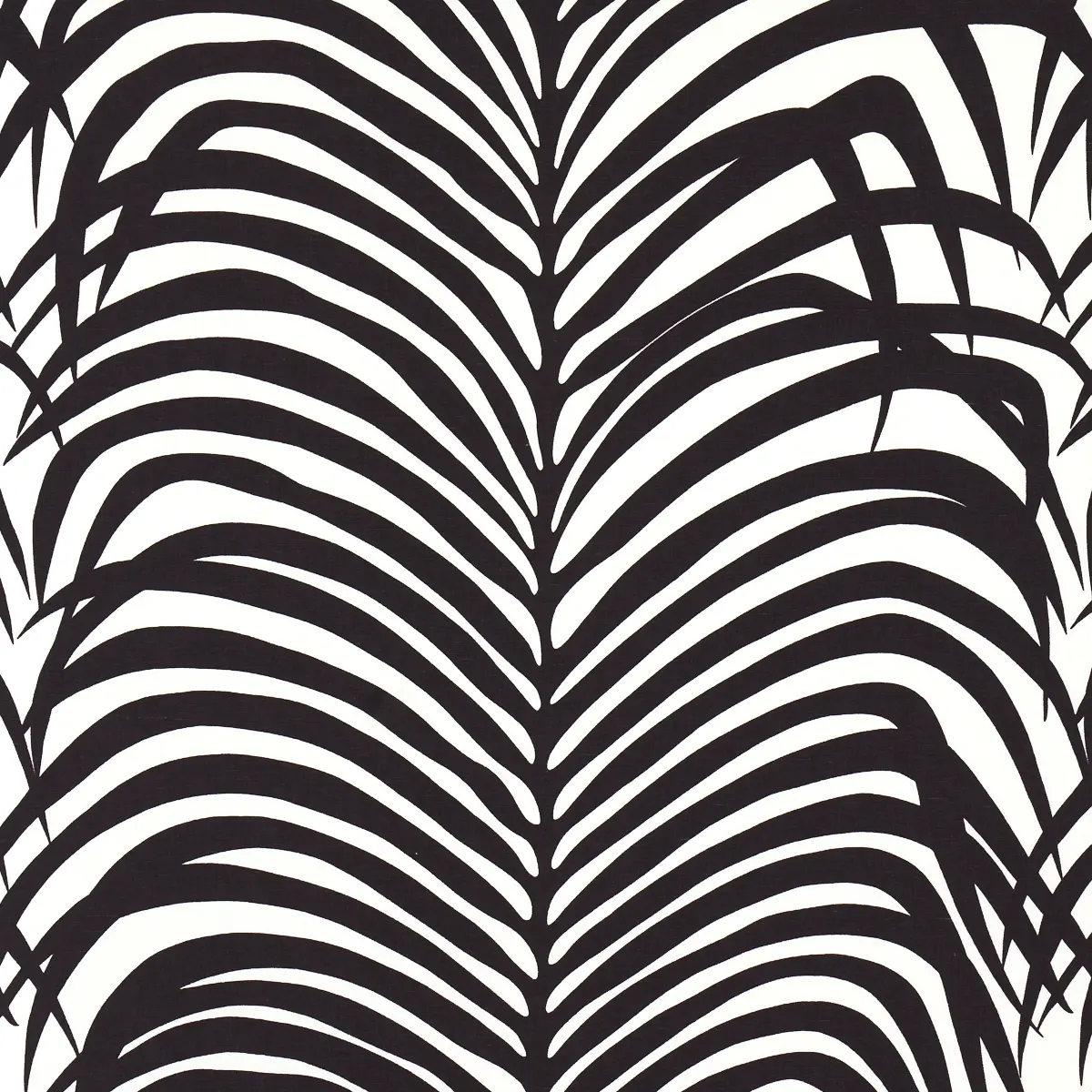 ZEBRA PALM_ EBONY