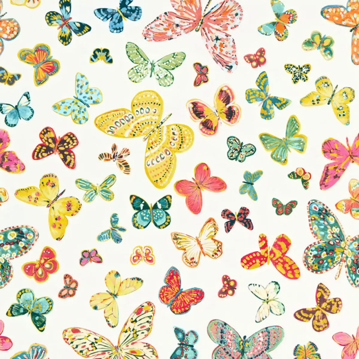 BUTTERFLY_ MULTI