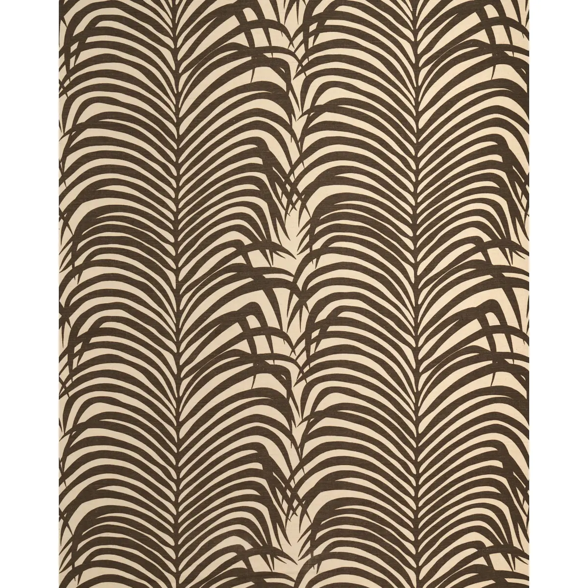 ZEBRA PALM_ JAVA