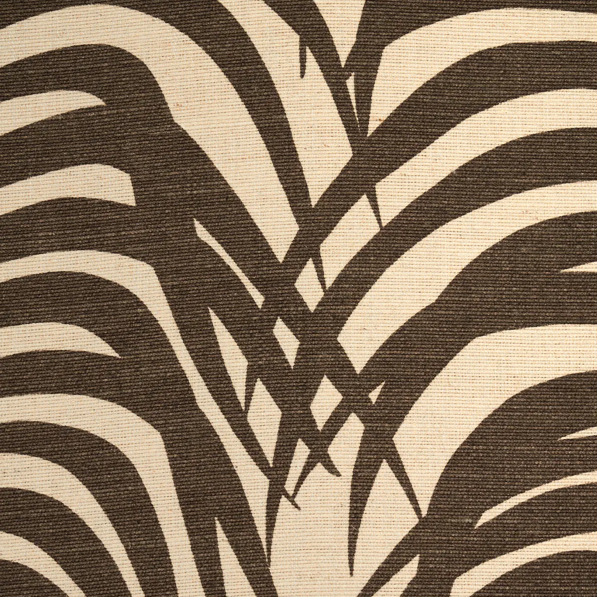 ZEBRA PALM_ JAVA
